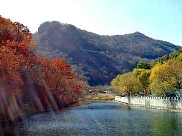 新澳天天开奖资料大全旅游团，电机线束